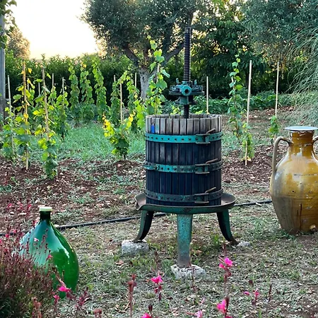 Vakantiehuis Trullo In Vigna Cisternino