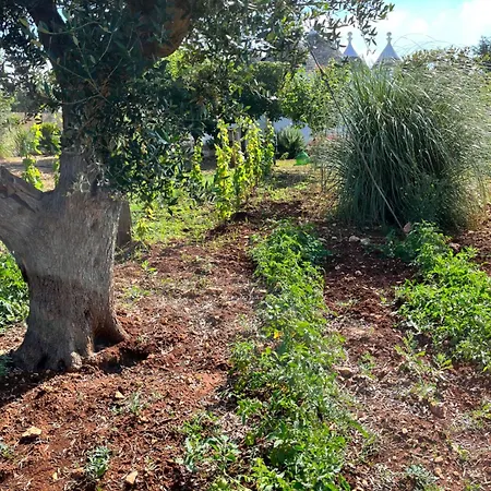 Trullo In Vigna