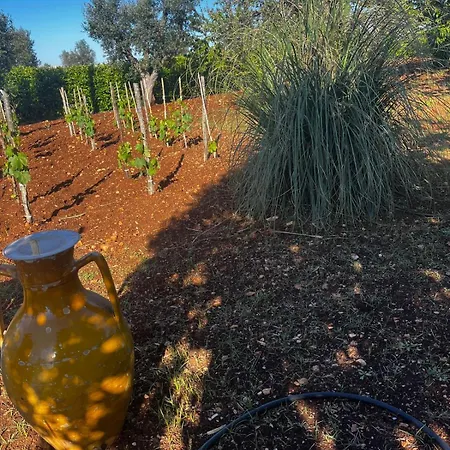 Сasa de vacaciones Trullo In Vigna Cisternino