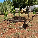 Trullo In Vigna Cisternino