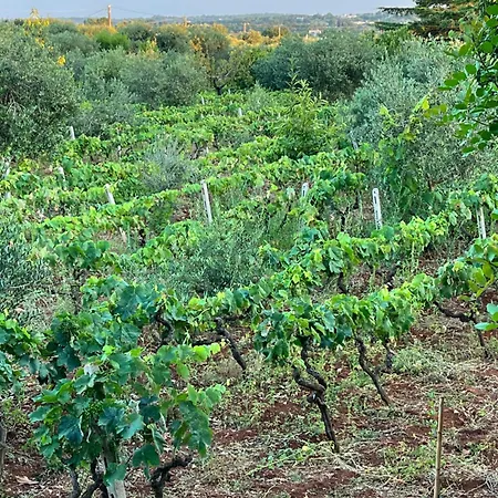 Trullo In Vigna تْشيستيرنِنو