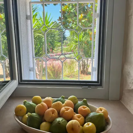 Trullo In Vigna Holiday home