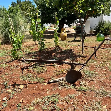 Trullo In Vigna Cisternino